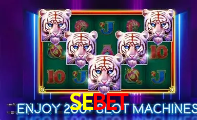 A Emoção da Loteria na SEBET: Uma Chance de Mudança de Vida